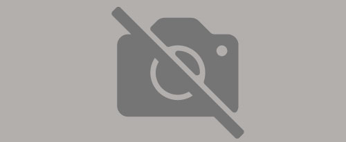 Le Pawtique-The Pooch Spa & Boutique