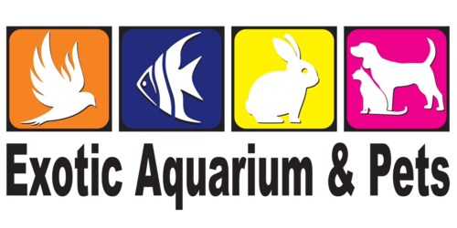 Exotic Aquarium and pets